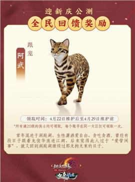 顶级网络天龙八部私服